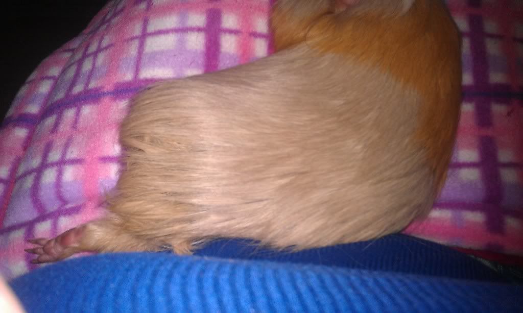 IMAG0249.jpg