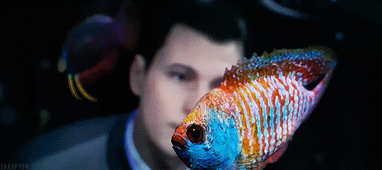 photo c05b1a48833936e9bc529d6f6b9c66b5_zpscmj3fl26.gif